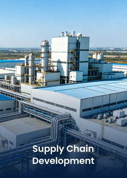 Supply Chain Development